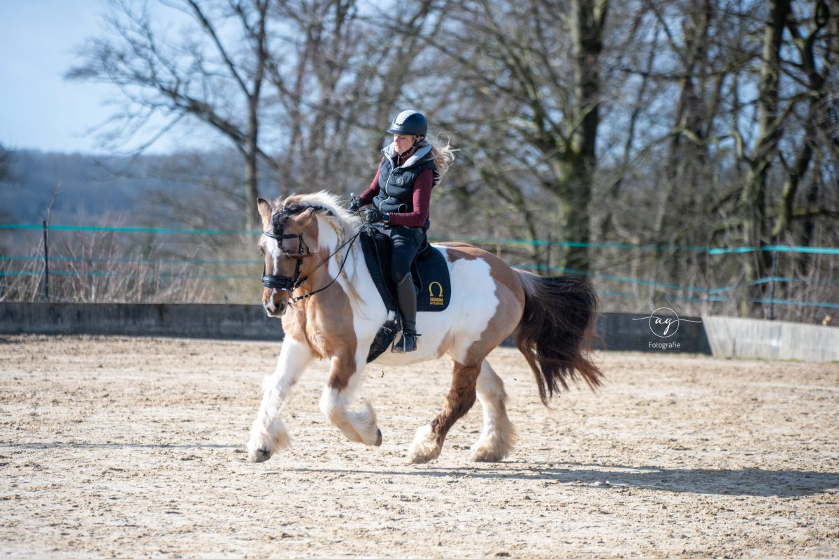 Reiterin mit Pferd beim Training